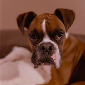 Meet your Posher, Anthony